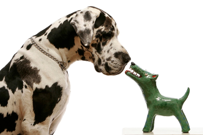 Phoenyx-w-Elodie-Barker-dog
